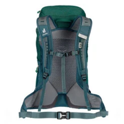 Deuter AC LITE 24 Tagesrucksack ALPINEGREEN-ARCTIC 8 Deuter AC LITE 24 Tagesrucksack ALPINEGREEN-ARCTIC -Deutschland Natur Pause Verkaufs-Shop 5637974355 c ac lite 24 deuter 24